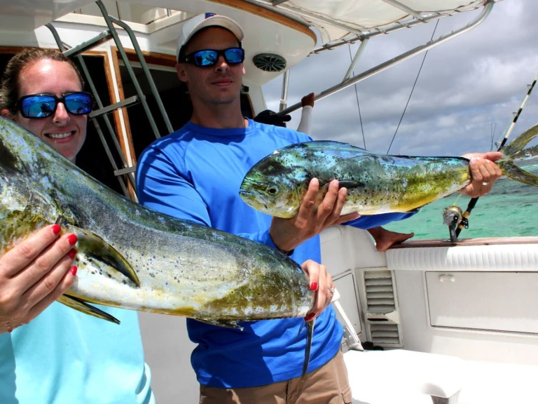 Verhuur Motorboot Custom Made met vaarbewijs