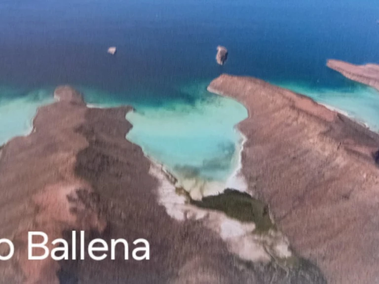 Jachthuur in La Paz - Alubat Ovni 43 via SamBoat