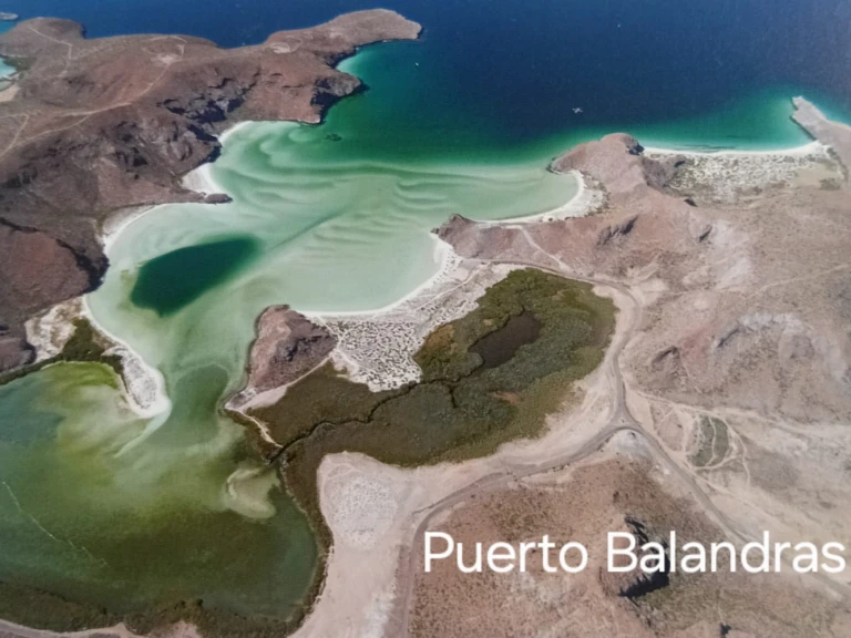 Huur een Alubat Ovni 43 in La Paz