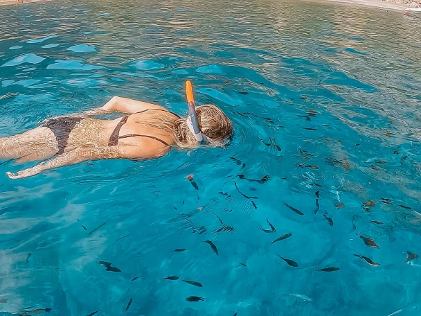 Okiboats Barracuda 545 Open te huur van particulier of professional in Club Nàutic Ca'n Picafort