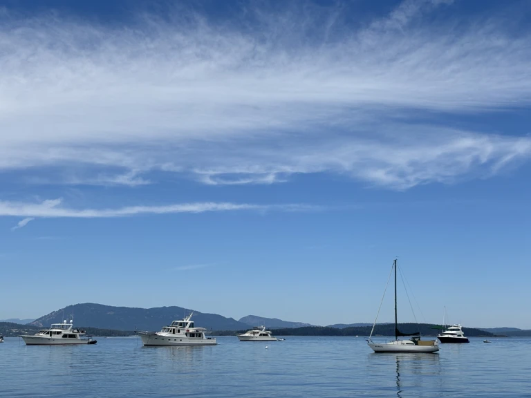 Huur Zeilboot met of zonder schipper Albin in Sidney