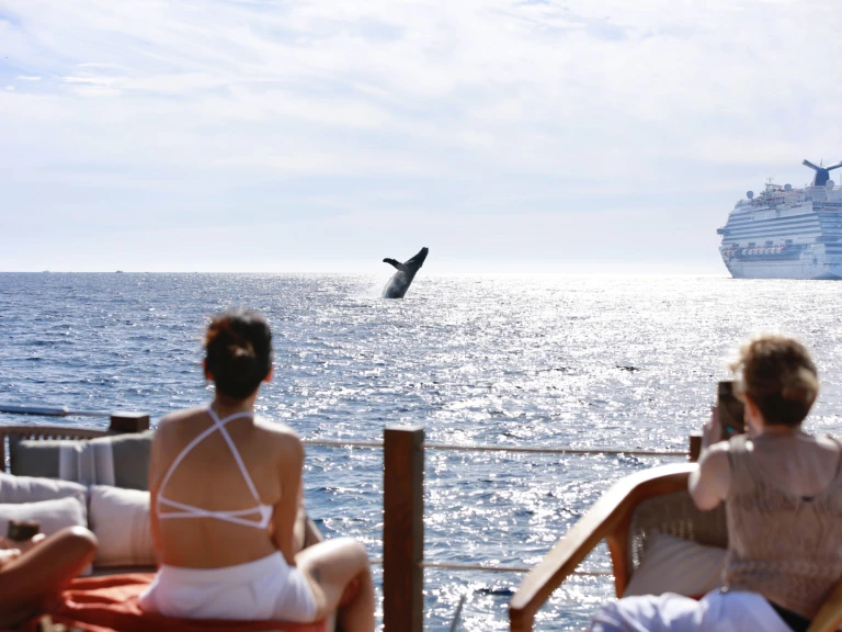 Bootverhuur Custom Made 36 in Cabo San Lucas via SamBoat