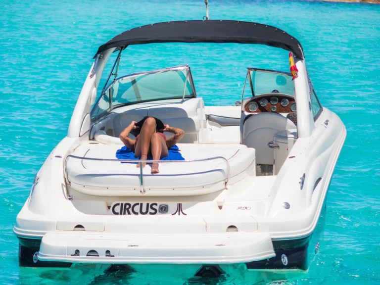 Verhuur Motorboot Sea Ray met vaarbewijs