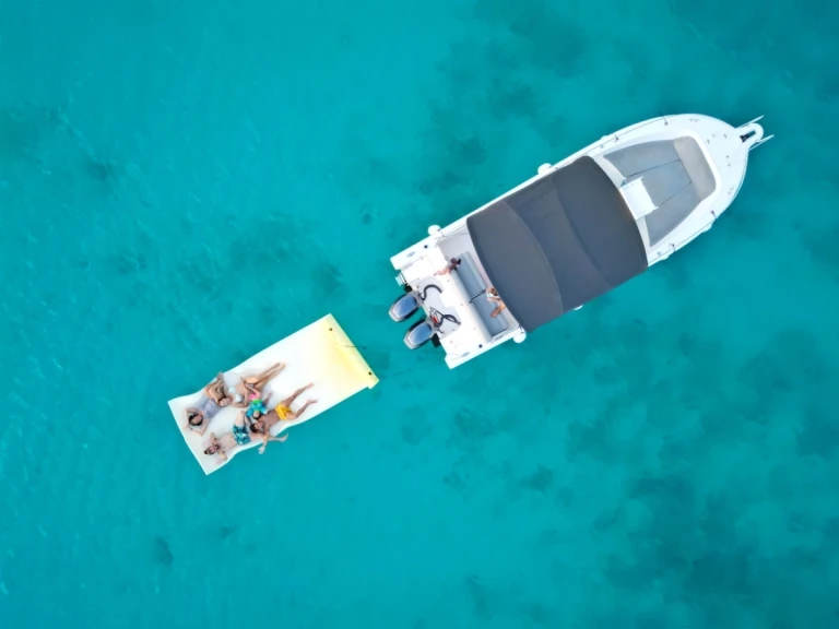 Bootverhuur White Shark White Shark 265 in Marigot via SamBoat