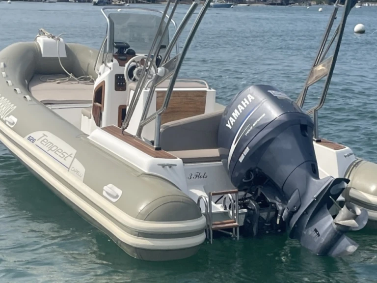 Capelli Tempest 626 Ivory te huur van particulier of professional in Lège-Cap-Ferret