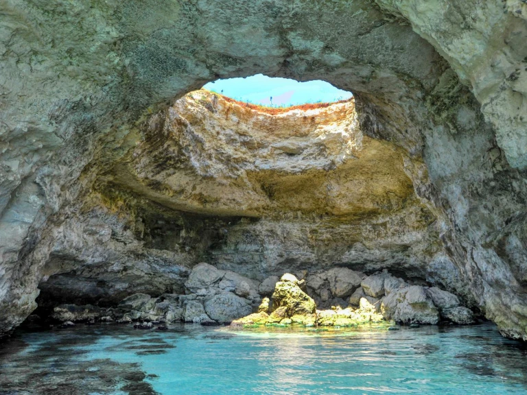 dolphin Dolphin 25 te huur van particulier of professional in Otranto