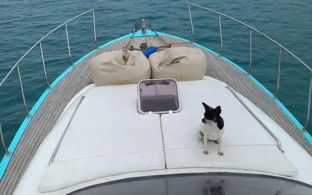 Custom Made te huur van particulier of professional in Antalya (City)