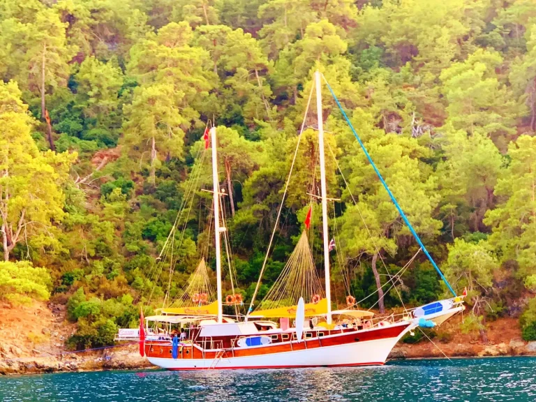 Verhuur Zeilboot Custom met vaarbewijs