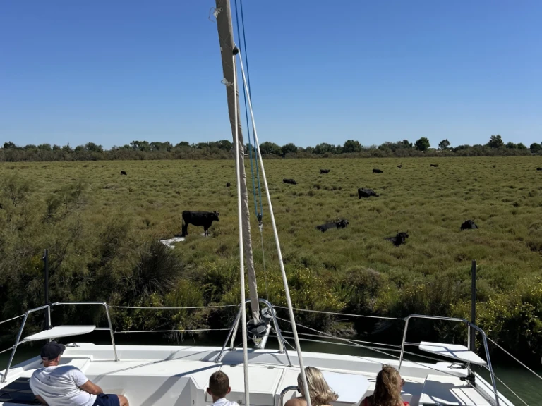 Bali Bali Catspace Voile te huur van particulier of professional in Le Grau-du-Roi