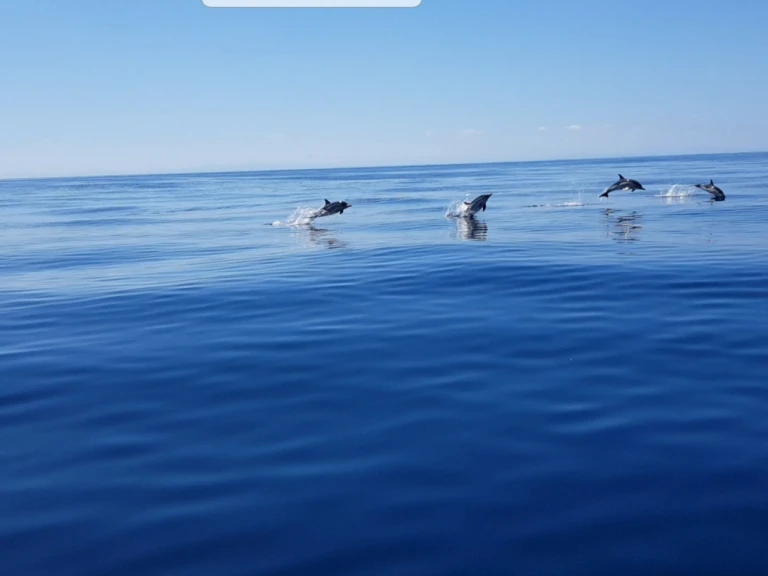 Jachthuur in Anglet - Jeanneau Merry Fisher 925 Fly via SamBoat