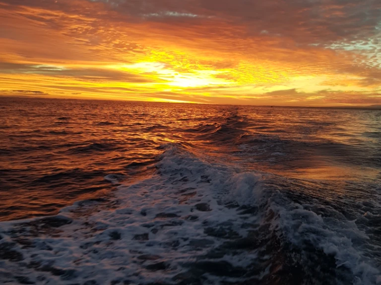 Huur een Jeanneau Merry Fisher 925 Fly in Anglet