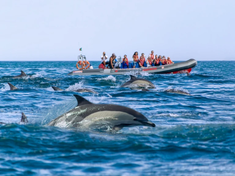 Jachthuur in Portimão - Narwhal 88 via SamBoat