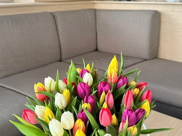 Bootverhuur Fountaine Pajot Fountaine Pajot Samana 59 - 6 + 2 cab in Procida via SamBoat