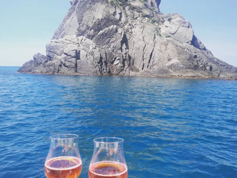 Saver 750WA te huur van particulier of professional in Fezzano