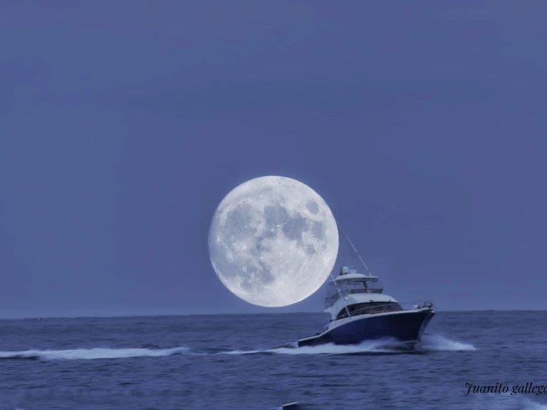 Rico Cori Fisher 1370 te huur van particulier of professional in Altea