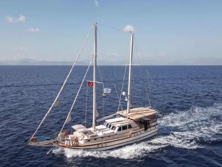 Huur een  Junior Tarkan - Premium Gulet in Fethiye