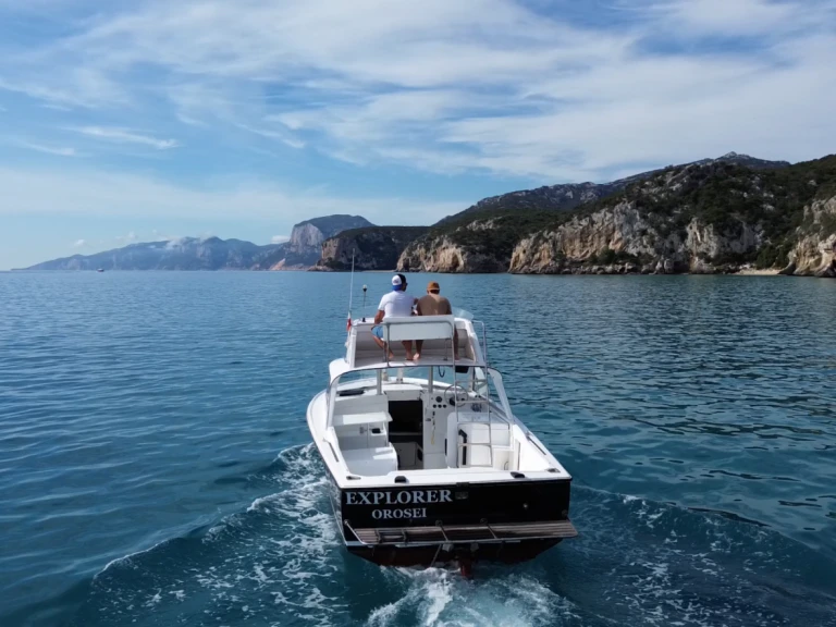Verhuur Motorboot Bertram met vaarbewijs