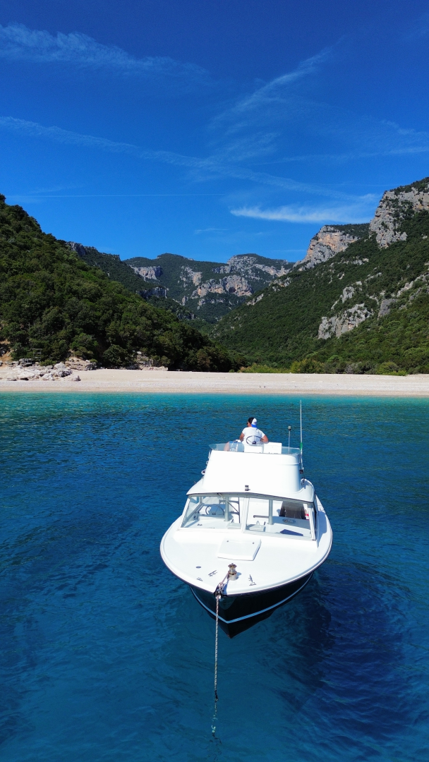 Bertram Bertram 25 te huur van particulier of professional in Orosei