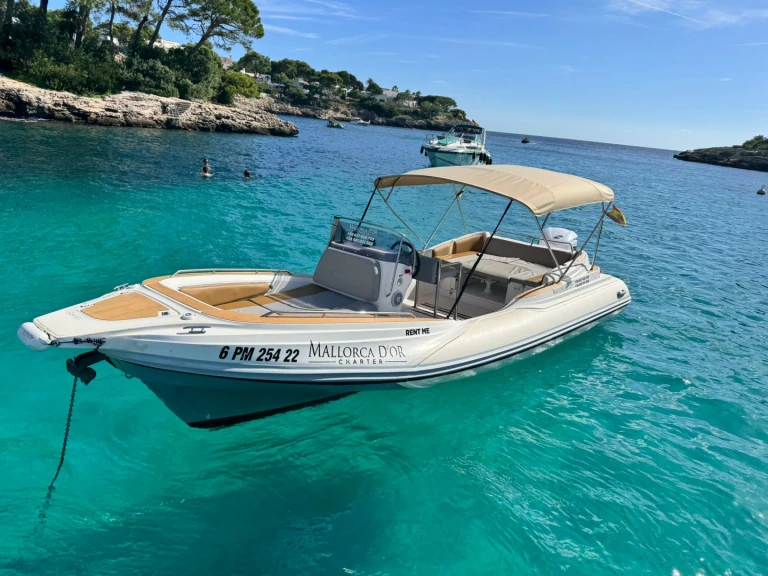 RIB te huur in Cala d'Or voor de beste prijs