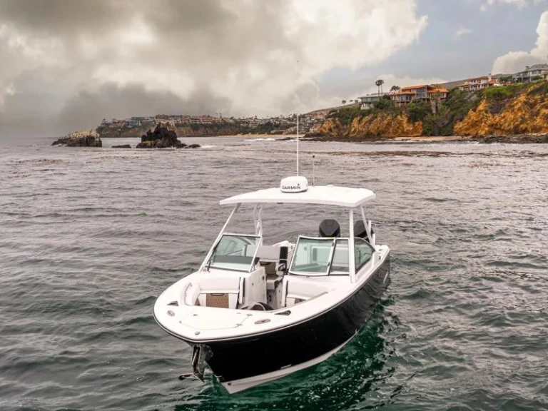 Bootverhuur Blackfin 272 DC  in West Palm Beach via SamBoat