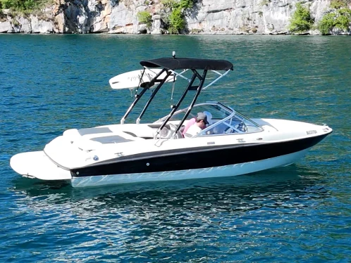 Huur Motorboot met of zonder schipper Bayliner in Annecy
