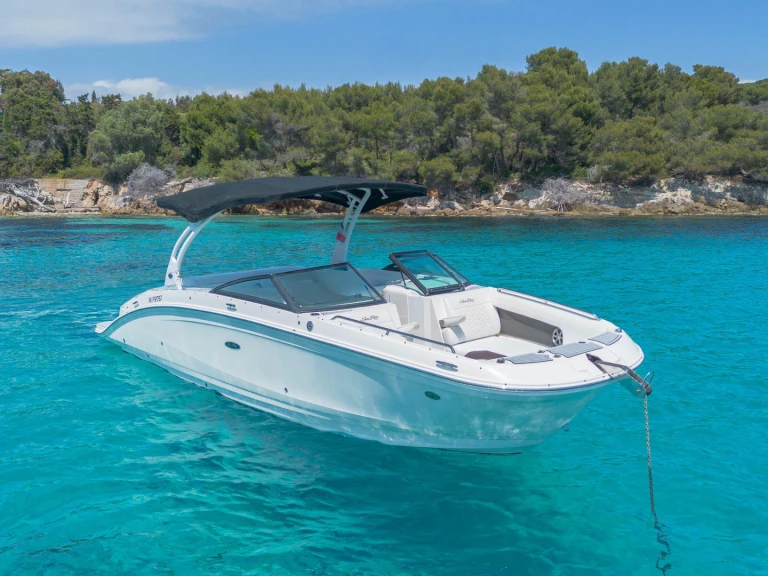 Huur Motorboot met of zonder schipper Sea Ray in Cannes