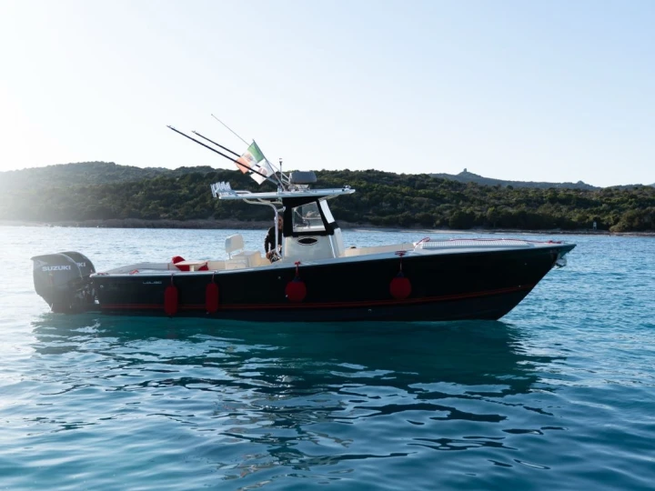 Huur Motorboot met of zonder schipper Allcustom in Marina di Portisco