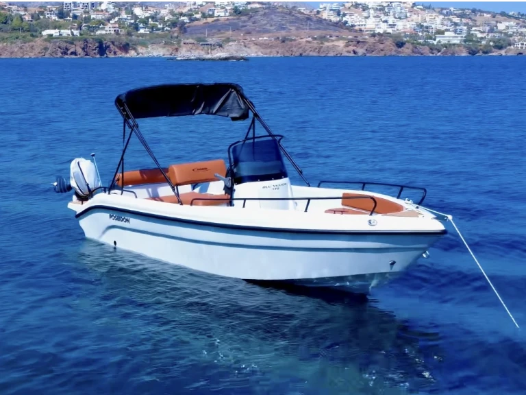 Poseidon Blu Water 170 te huur van particulier of professional in Anávyssos