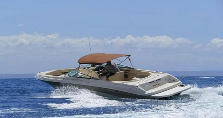 Sea Ray Sea Ray 260 te huur van particulier of professional in Santa ponça