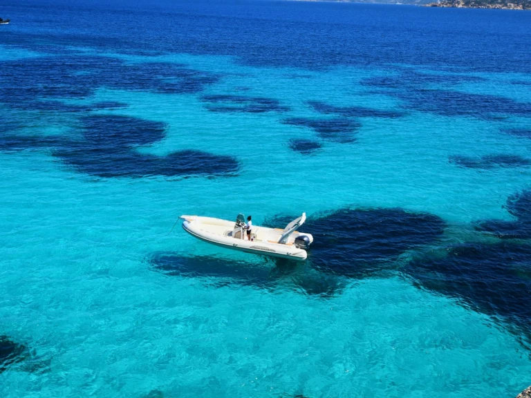 Verhuur RIB in Palau - Capelli Tempest 770