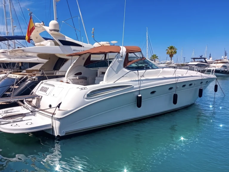 Huur Motorboot met of zonder schipper Sea Ray in Port de Pollença