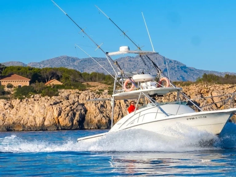 Motorboot te huur in Port de Pollença voor de beste prijs