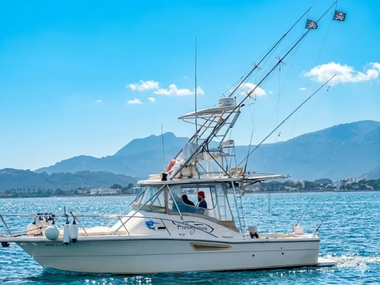 Bootverhuur Port de Pollença goedkoop 3100 open