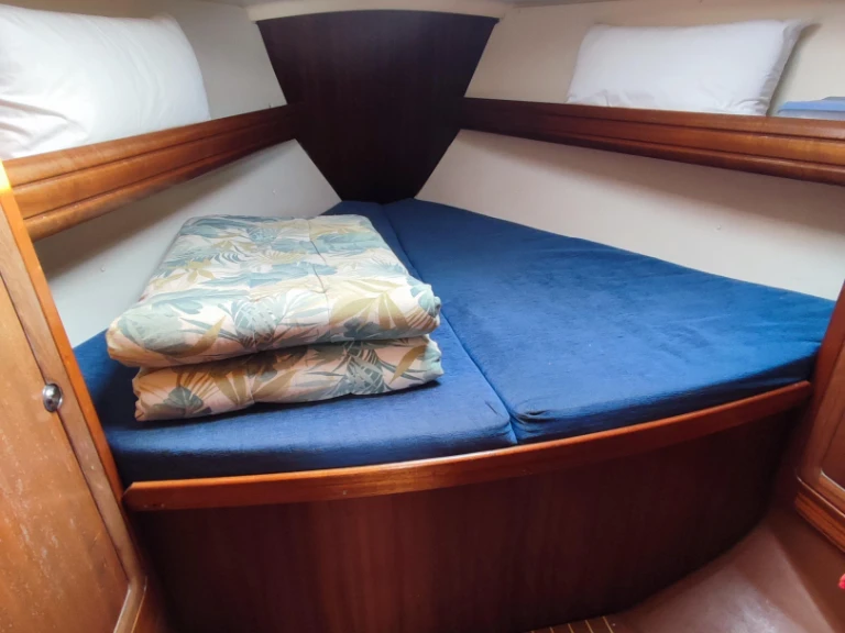 Jachthuur in Puerto Altea - Bavaria Bavaria 37 Cruiser via SamBoat