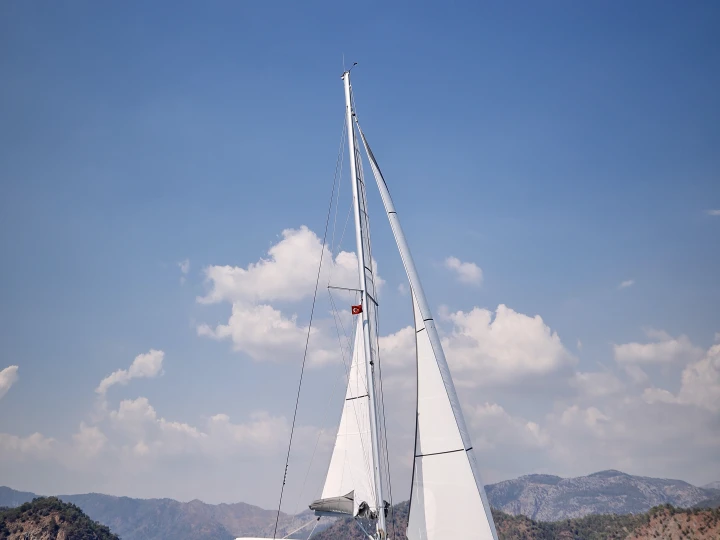 Leopard Leopard 40 te huur van particulier of professional in Tivat