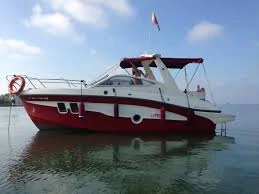 Verhuur Motorboot Lexsia met vaarbewijs