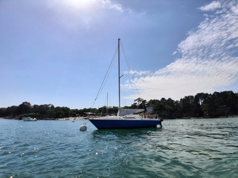 Edel Edel 660 te huur van particulier of professional in Port la Forêt