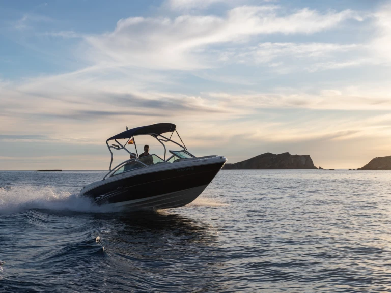 Sea Ray Sea Ray 220 Select te huur van particulier of professional in Sant Antoni de Portmany