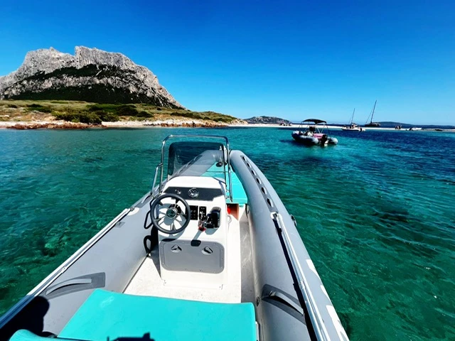 Bwa California 550 te huur van particulier of professional in Olbia