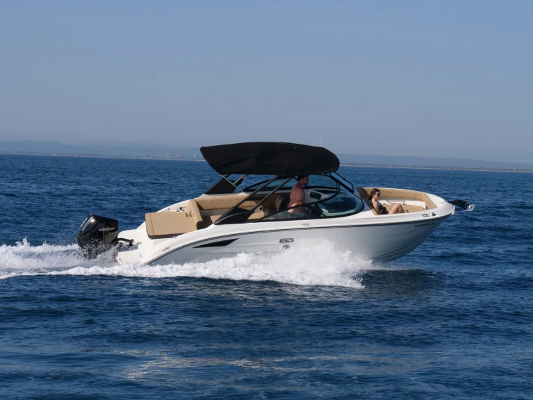Verhuur Motorboot Sea Ray met vaarbewijs