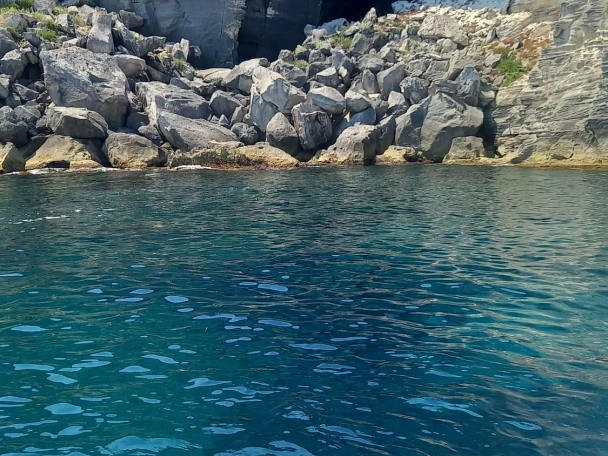 Jachthuur in Marsala - Combac Shark  via SamBoat