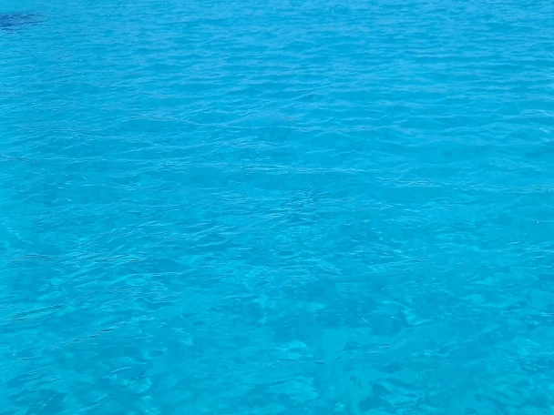 Huur een Combac Shark  in Marsala