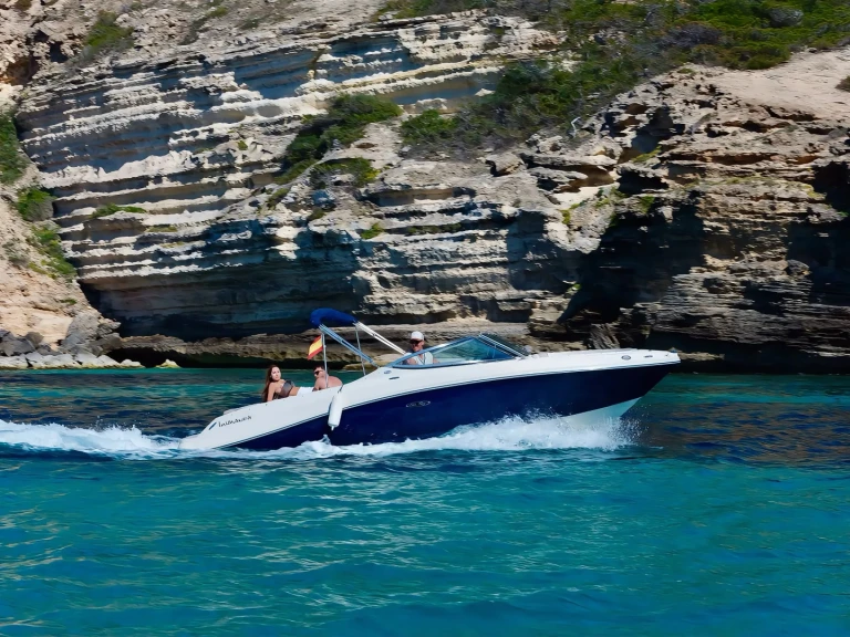 Sea Ray Sea Ray 230 te huur van particulier of professional in Port d'Andratx