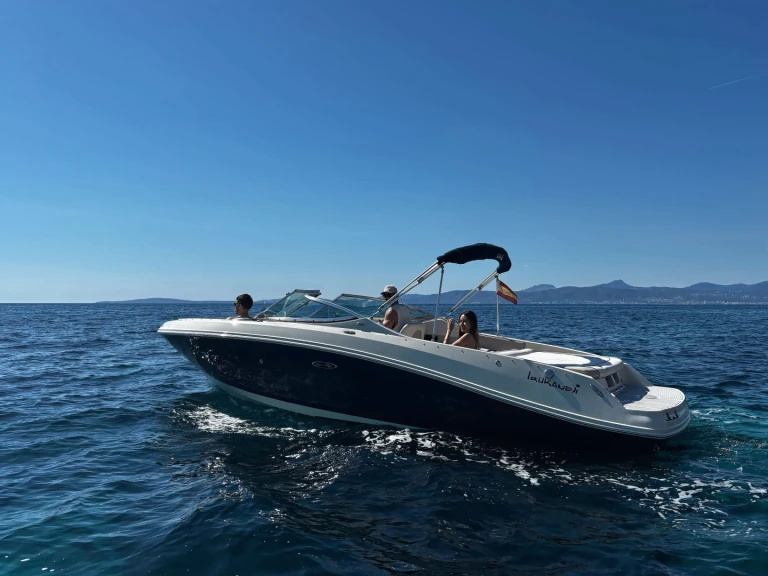 Jachthuur in Port d'Andratx - Sea Ray Sea Ray 230 via SamBoat