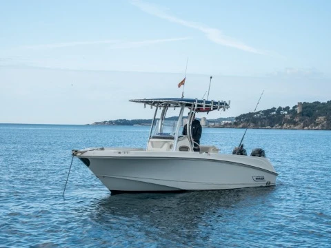 Verhuur Motorboot Boston Whaler met vaarbewijs