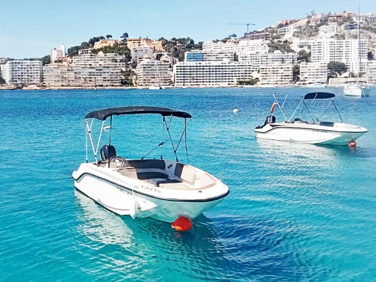 Huur Motorboot met of zonder schipper Bayliner in Palma de Mallorca