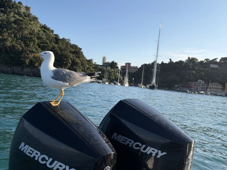 Huur een SCAND  Scand 9200 in Rapallo