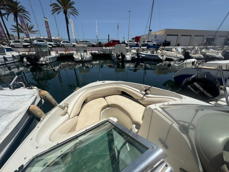 Verhuur Motorboot Sea Ray met vaarbewijs