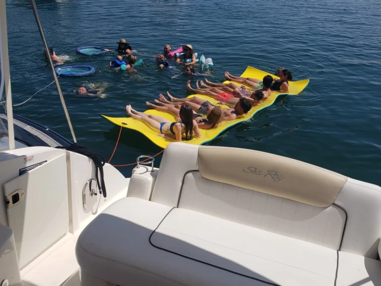 Verhuur Motorboot in Miami - Sea Ray Sea Ray 300 Sundancer