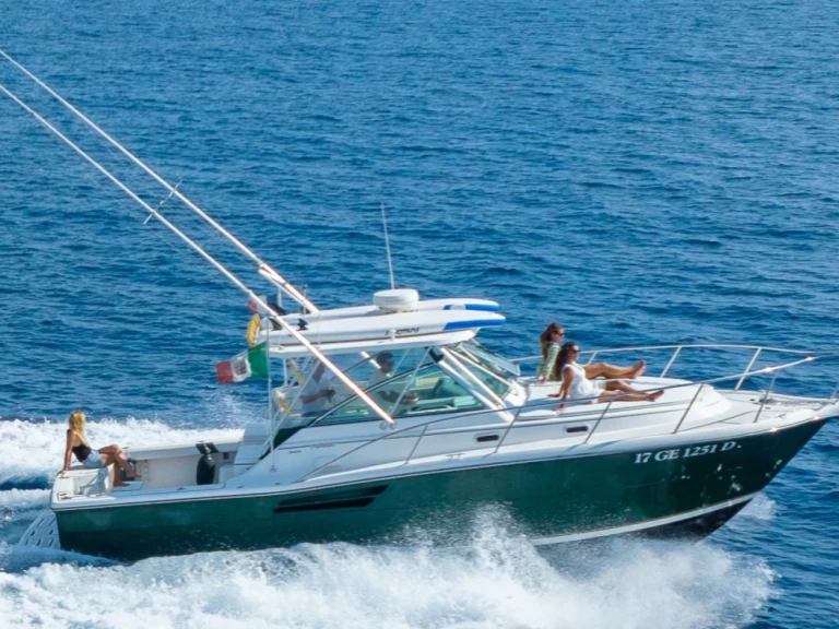 Huur Motorboot met of zonder schipper Pursuit in Marseille